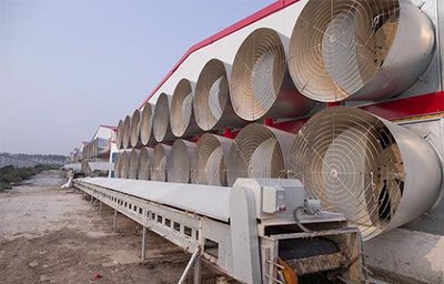 Large fans for ventilation in poultry house
