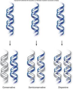 Centrifugation apparatus