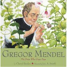 Illustration of Gregor Mendel with pea plants