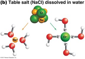 Water molecules hydrating ions