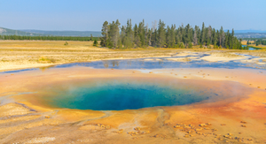 Hot spring environment, typical habitat for archaea
