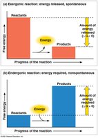Exergonic reaction energy profile