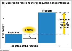 Endergonic reaction energy profile