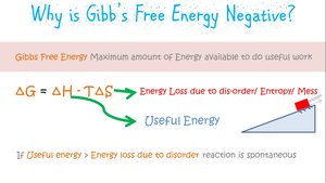 Why Gibbs Free Energy is negative