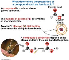 What determines the properties of a compound such as formic acid?