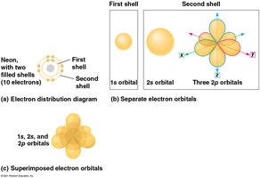 Electron orbitals and their shapes
