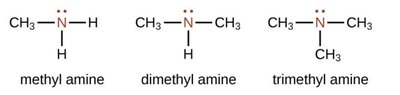 Primary, secondary, and tertiary amines