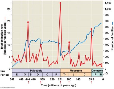 Timeline of mass extinctions and family diversity