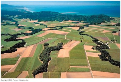 Aerial view of fragmented habitat