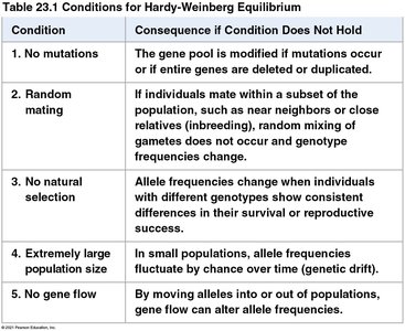 Table of Hardy-Weinberg equilibrium conditions
