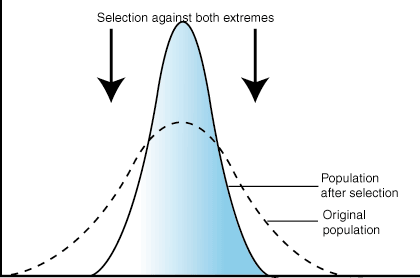Graph of stabilizing selection: selection against both extremes