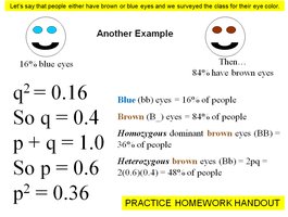 Hardy-Weinberg example with eye color