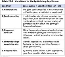 Table of Hardy-Weinberg conditions