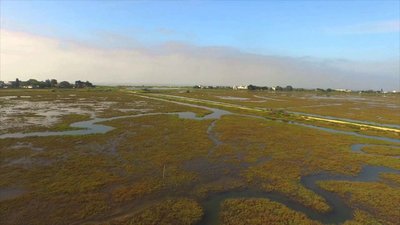 Aerial view of Carpinteria salt marsh