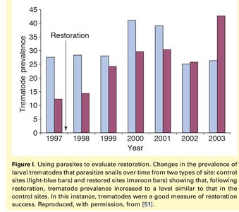 Bar graph showing trematode prevalence in restoration sites over time