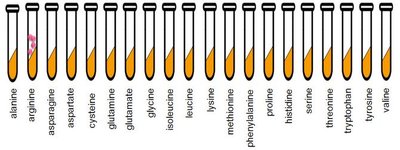 Testing growth with different amino acids