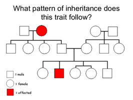 Pedigree showing three generations with affected individuals shaded