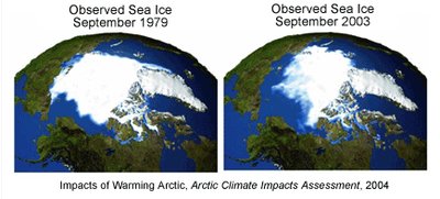 Observed sea ice in 1979 and 2003