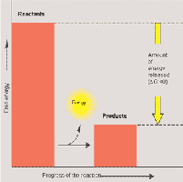 Exergonic reaction energy diagram