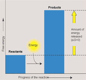 Endergonic reaction energy diagram