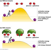 Activation energy diagram
