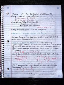 Handwritten notes on biological molecules, carbon structure, and hydrocarbon examples