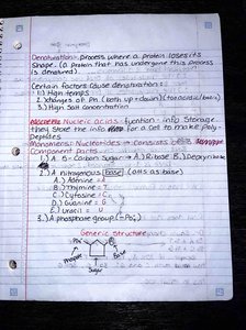 Notes and diagrams on nucleic acid structure and nucleotide components
