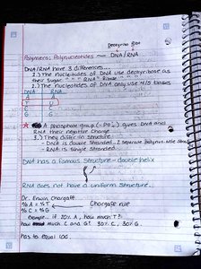 Notes and diagrams on DNA vs. RNA, nucleotide structure, and Chargaff's rule