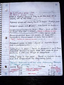 Notes on functional groups, their properties, and examples