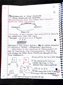 Notes and diagrams on monomers, polymers, dehydration synthesis, and hydrolysis