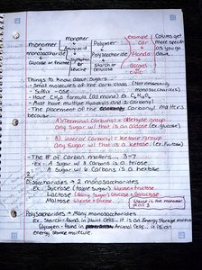 Notes and diagrams on monosaccharides, polysaccharides, and carbohydrate structure