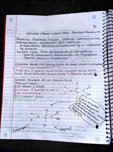 Notes and diagrams on amino acid structure and protein function