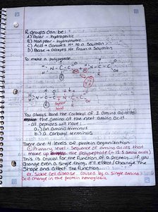 Notes and diagrams on protein structure, R groups, and polypeptide formation