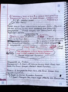 Notes and diagrams on protein structure levels and polypeptide vs. protein