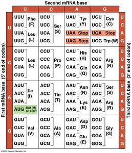 Genetic code table