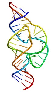 Alternative splicing and protein isoforms