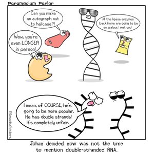 Cartoon comparing DNA and RNA
