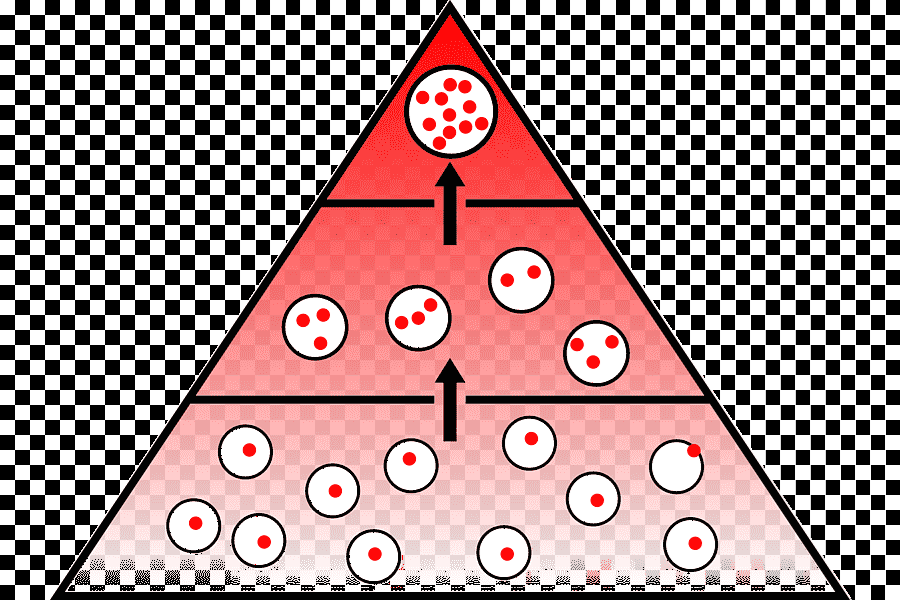 Diagram illustrating biomagnification in a food web