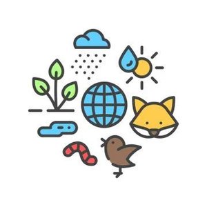 Ecosystem components: plants, animals, water, sun, earth