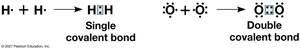 Single and double covalent bonds