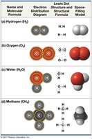 Lewis dot structures and molecular models