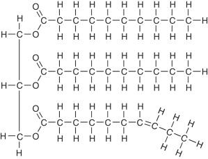 Lipid structure