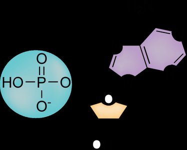 Nucleotide structure
