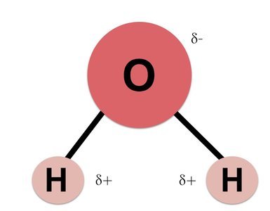 Water molecule showing polarity