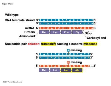 Frameshift mutation: deletion causing extensive missense