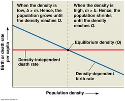 Density-dependent and density-independent regulation