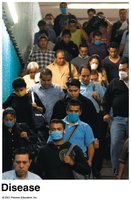 Disease transmission in crowded populations