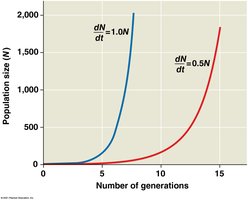 Exponential growth curves