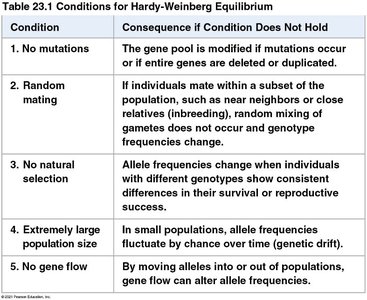 Table of Hardy-Weinberg equilibrium conditions and consequences if violated