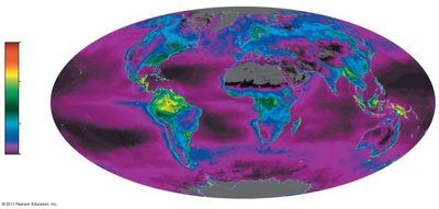Global map of net primary production
